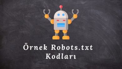 örnek robots txt kodları