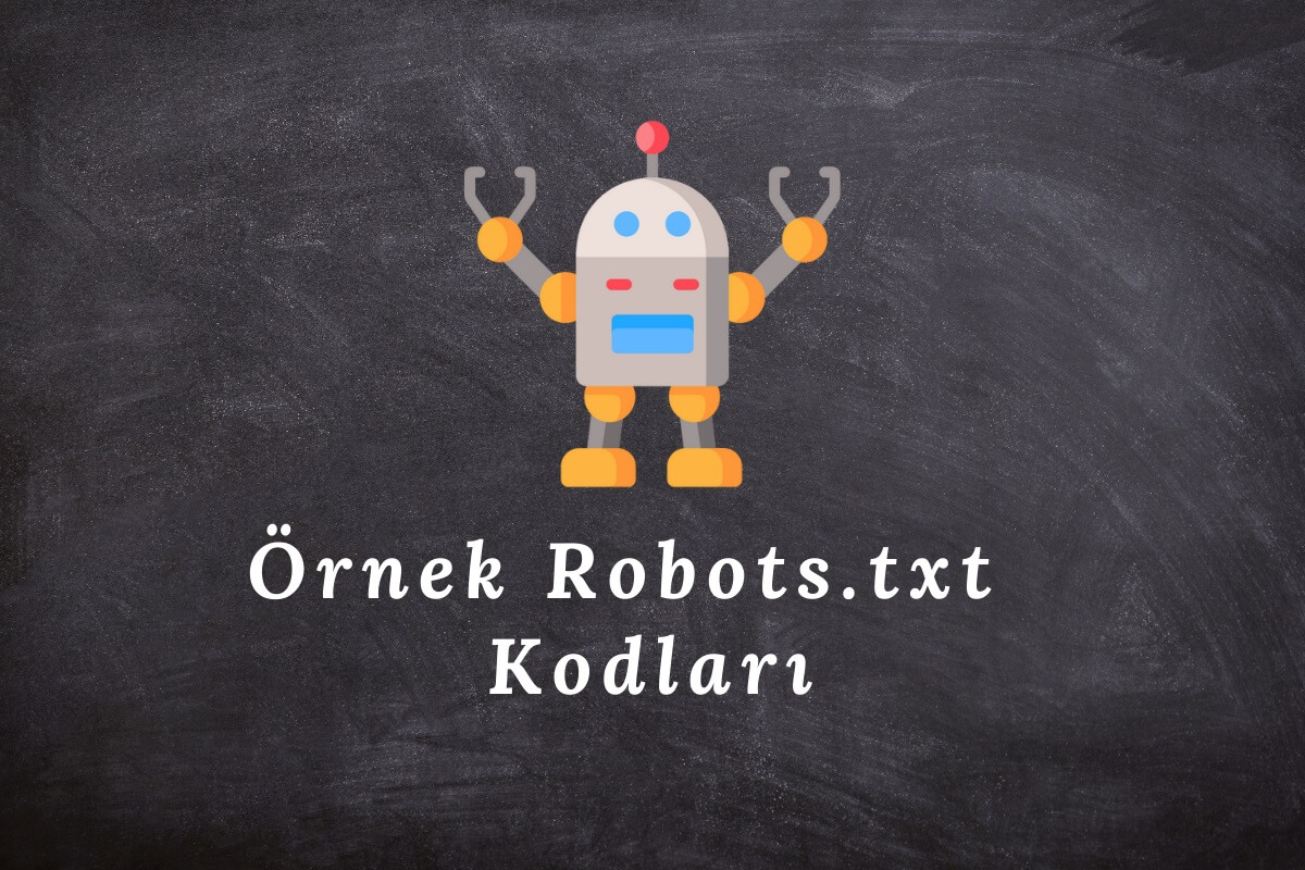 örnek robots txt kodları