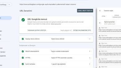 Google Sayfa Kaynakları Yüklenemedi Hatası Çözümü