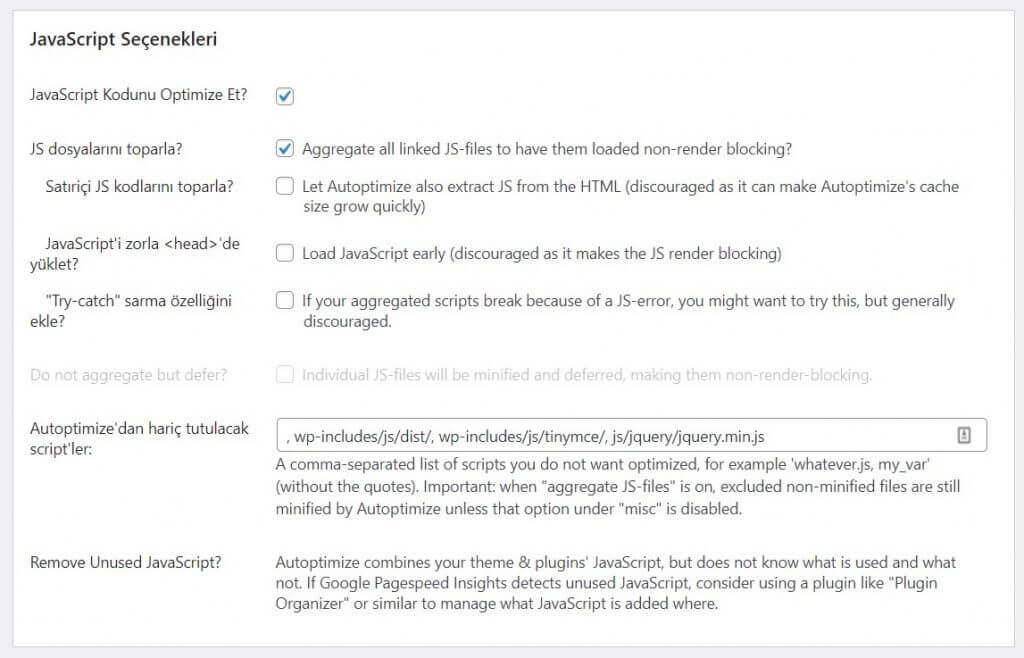 Autoptimize Javascript Ayarları