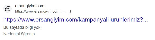 Google arama sonucunda açıklama yerine Bu sayfa için bilgi yok yazısının görünmesi