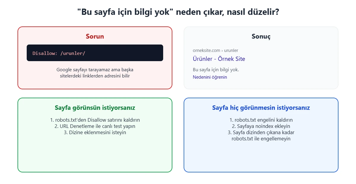 Bu sayfa için bilgi yok hatasının nedeni robots.txt Disallow engeli; sayfanın görünmesi veya tamamen kaldırılması için çözüm adımları