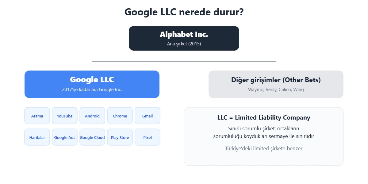 Google LLC'nin yapısı: Alphabet Inc. çatısı altında Google LLC ve diğer girişimler; Google ürünleri ve LLC kısaltmasının anlamı