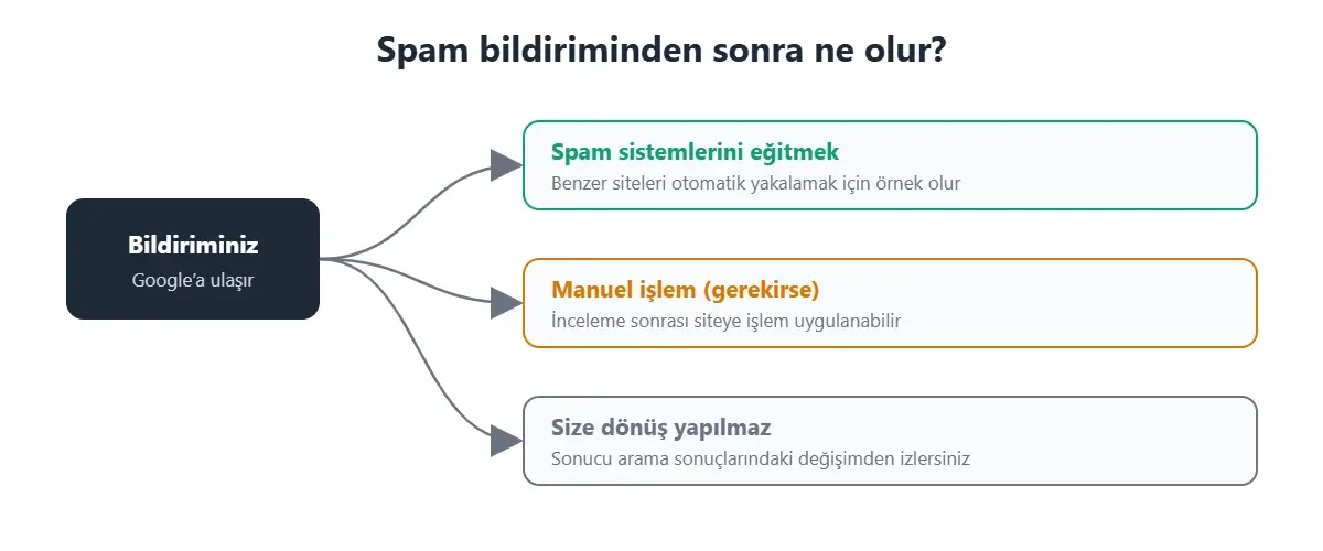 Google spam bildiriminden sonra olanlar: sistem eğitimi, gerekirse manuel işlem, kullanıcıya dönüş yapılmaması