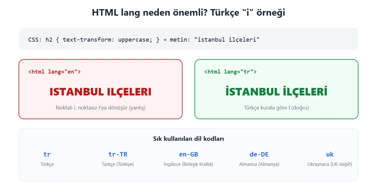 HTML lang etiketinin etkisi: lang en ile büyük harfe çevrilen Türkçe metinde i harfi I olurken lang tr ile doğru şekilde İ olur; sık kullanılan dil kodları