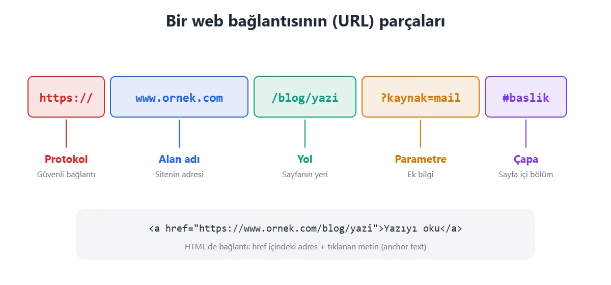 Bir web bağlantısının parçaları: protokol, alan adı, yol, parametre ve çapa; HTML a etiketi örneği